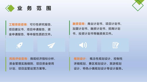 阳江项目策划书模板撰写标准